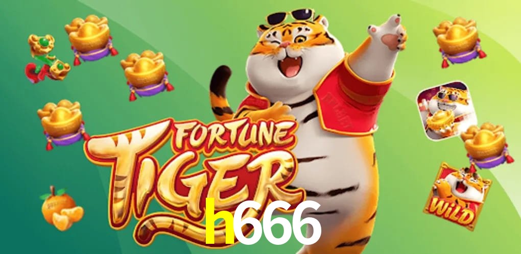 Football Betting h666